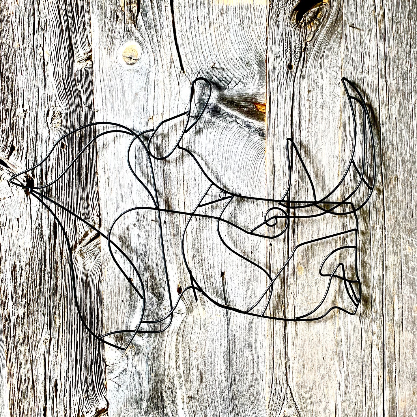 Rhino Animal Wall Art
