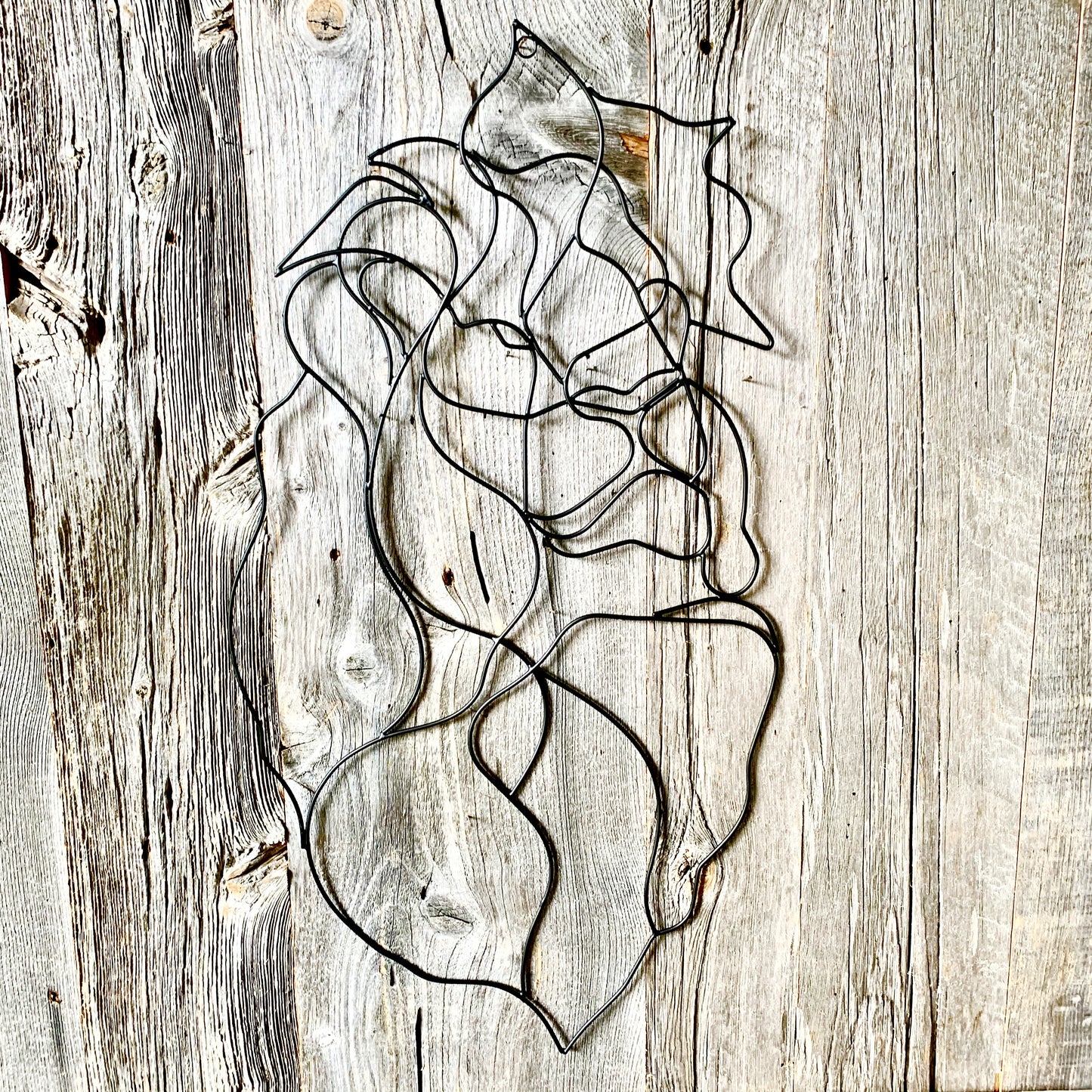 Lion Animal Wall Art