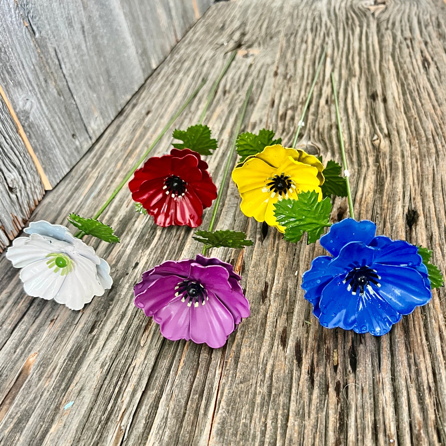 Set of 5 Colourful Anemone Garden Flowers
