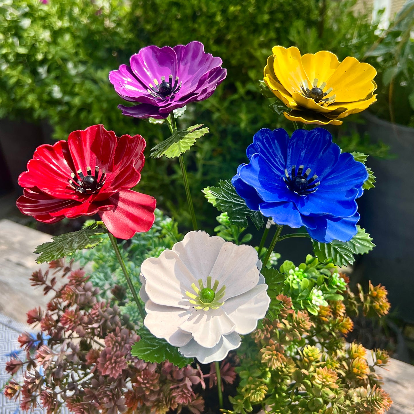 Set of 5 Colourful Anemone Garden Flowers