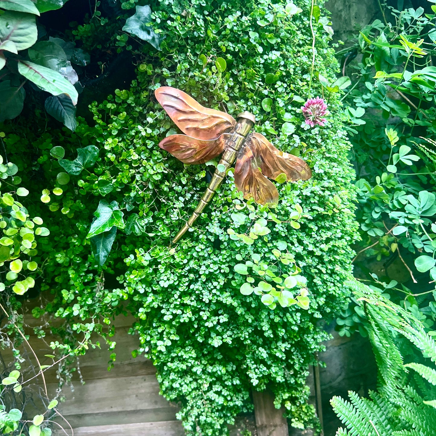 Handmade Copper & Brass Dragonfly Wall Sculpture – Outdoor Nature-Inspired Decor