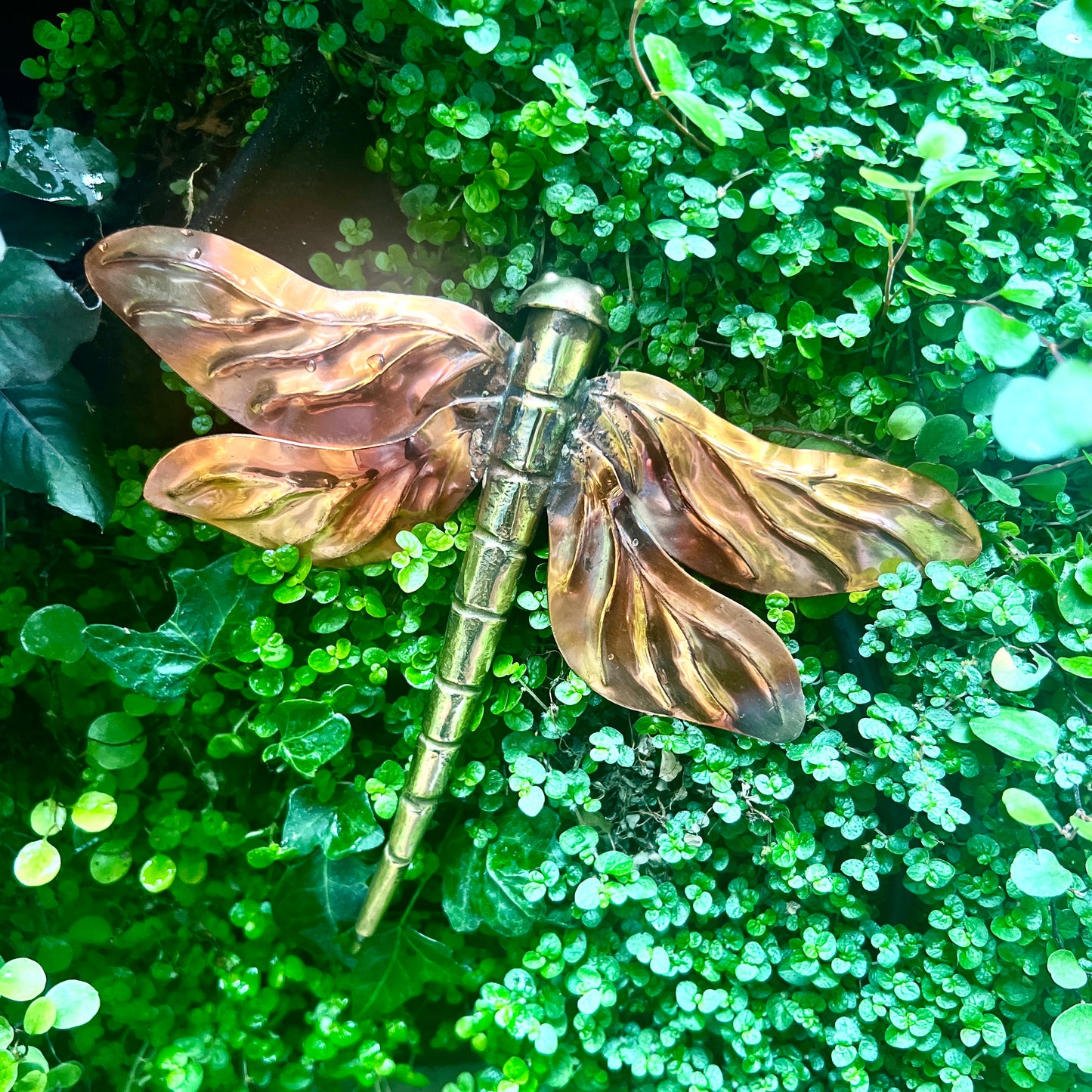 Handmade Copper & Brass Dragonfly Wall Sculpture – Outdoor Nature-Inspired Decor