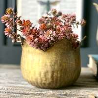 Pair Of Brass Tulip Planters