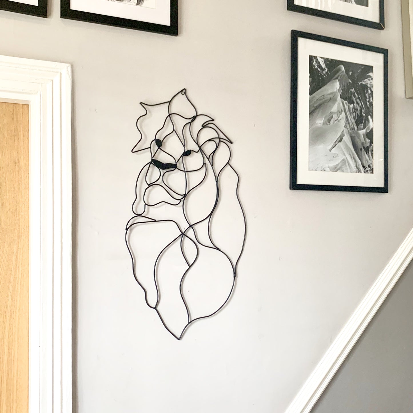 Lion Animal Wall Art