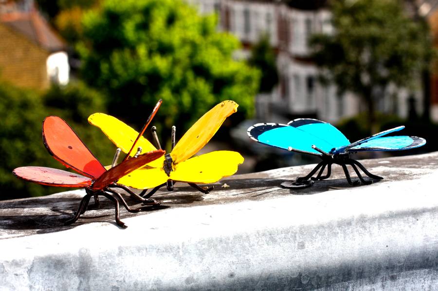 Set of 3 Butterflies