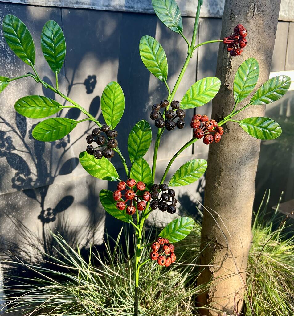 Coloured berry stem