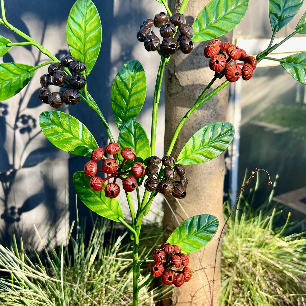 Coloured berry stem