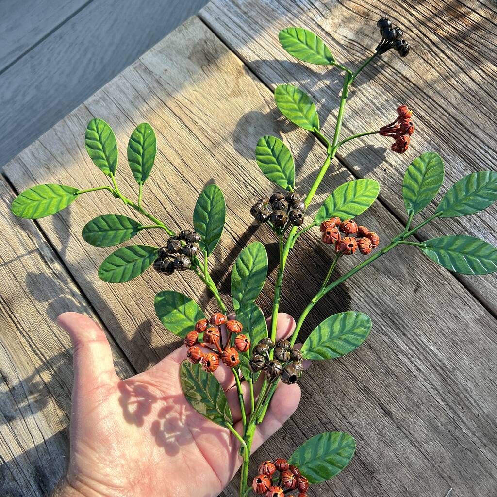 Coloured berry stem