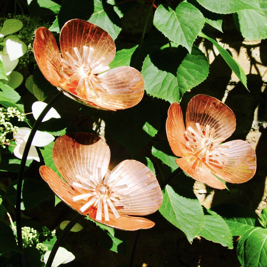 Copper Poppy Stakes