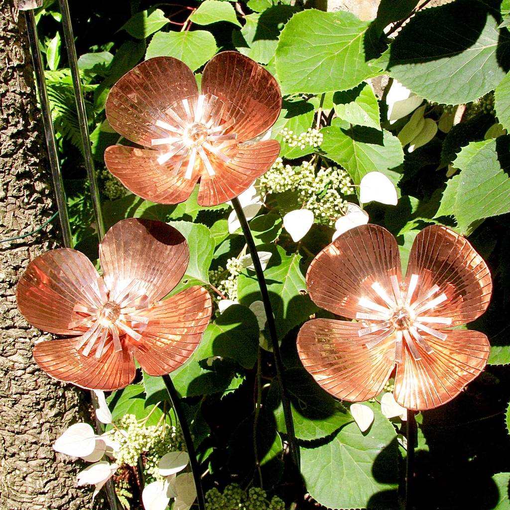 Copper Poppy Stakes
