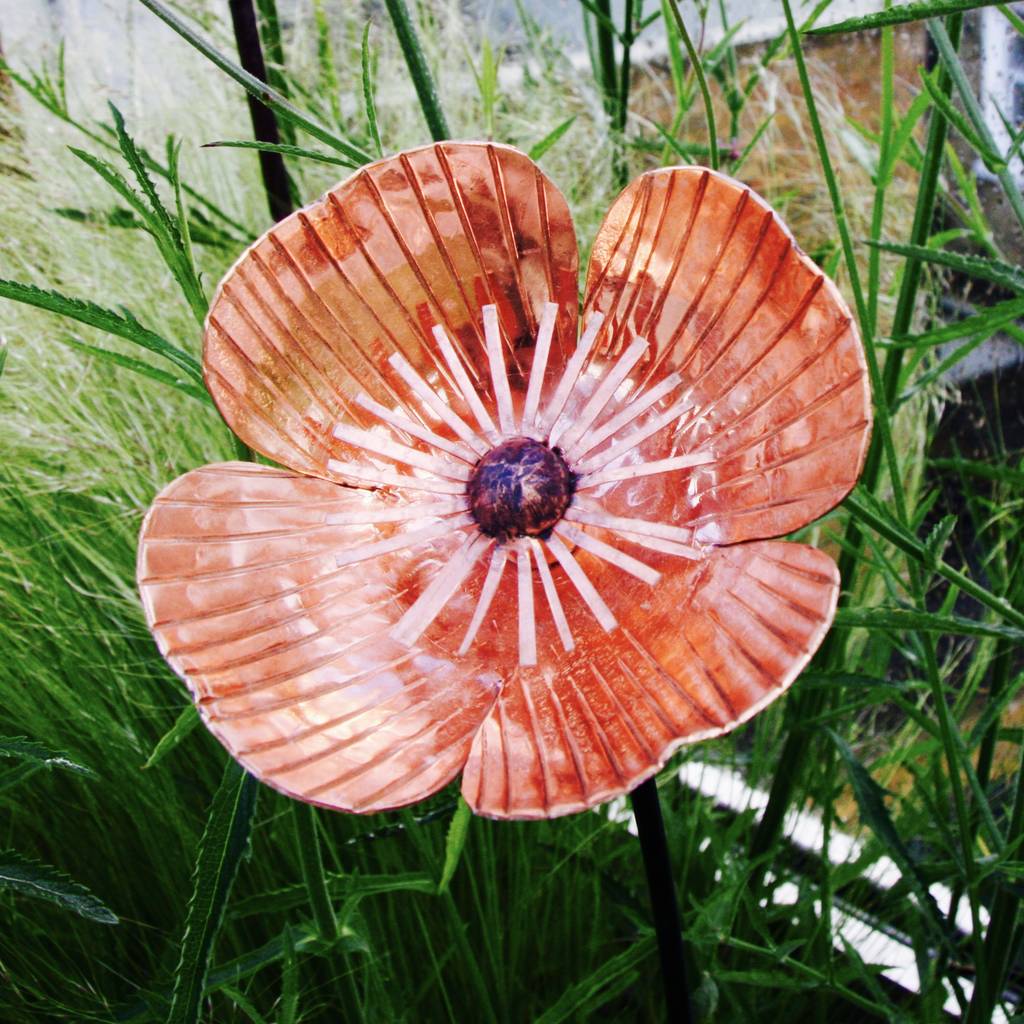 Copper Poppy Stakes