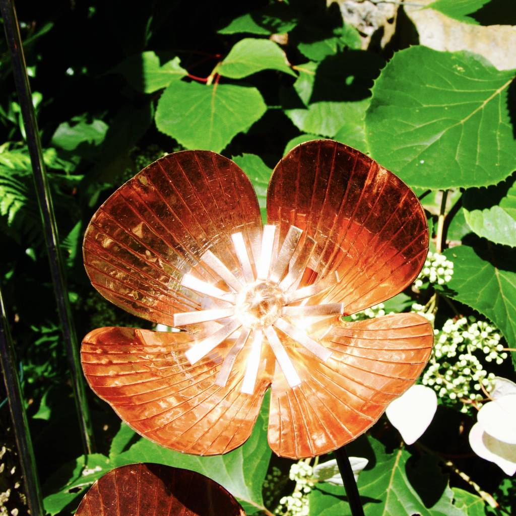 Copper Poppy Stakes