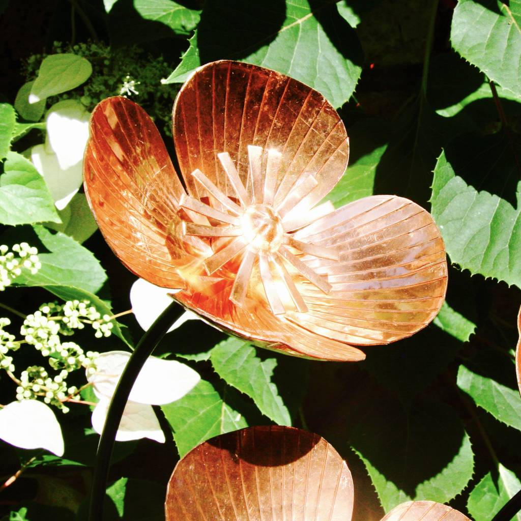 Copper Poppy Stakes