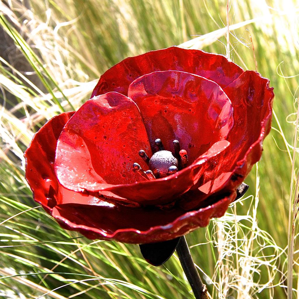 Set of 3 Poppy Sculptures