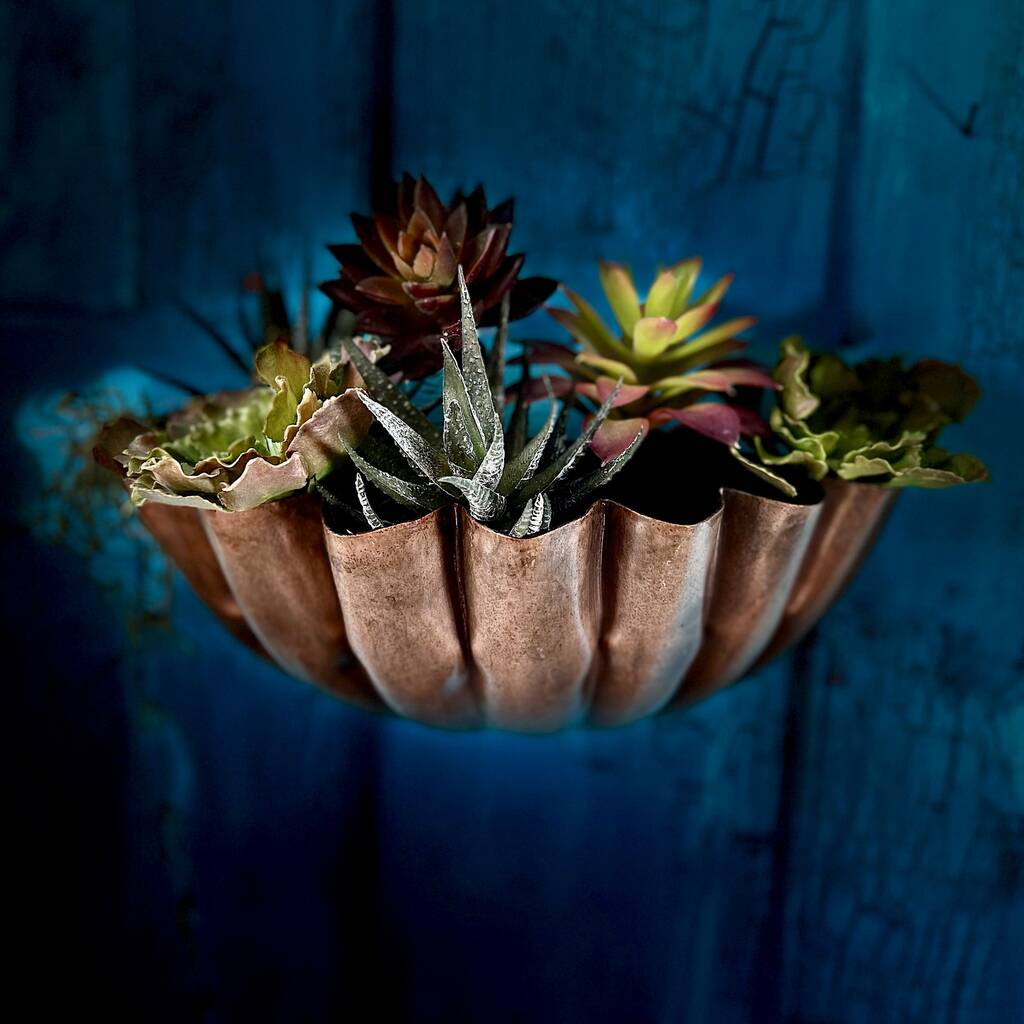 Scallop Wall Planter