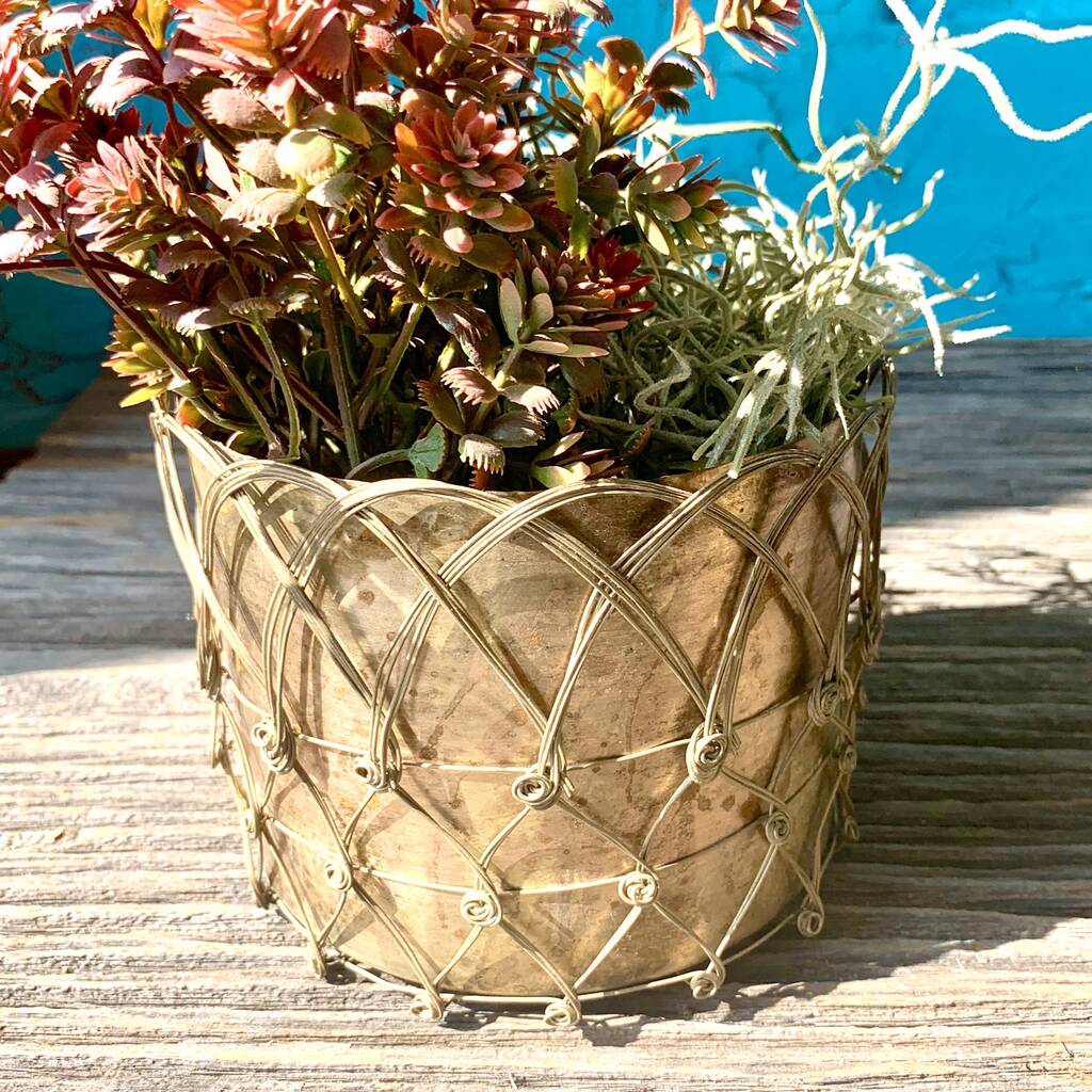 Pair Of Caged Planters