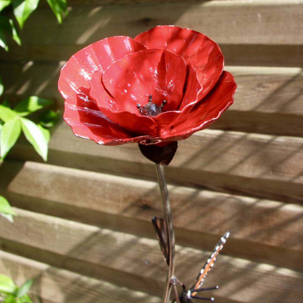 Red Poppy with Butterfly