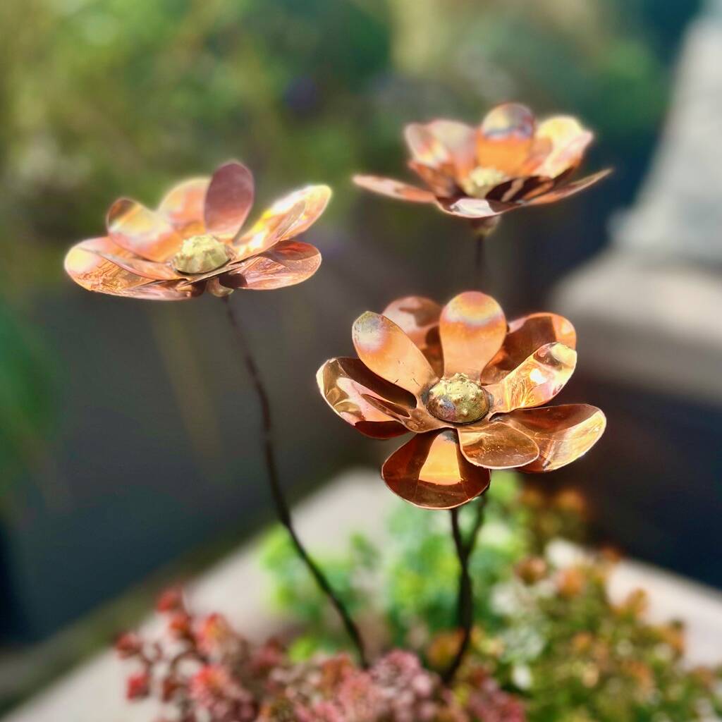 Set Of Three Copper Dahlia Garden Stakes