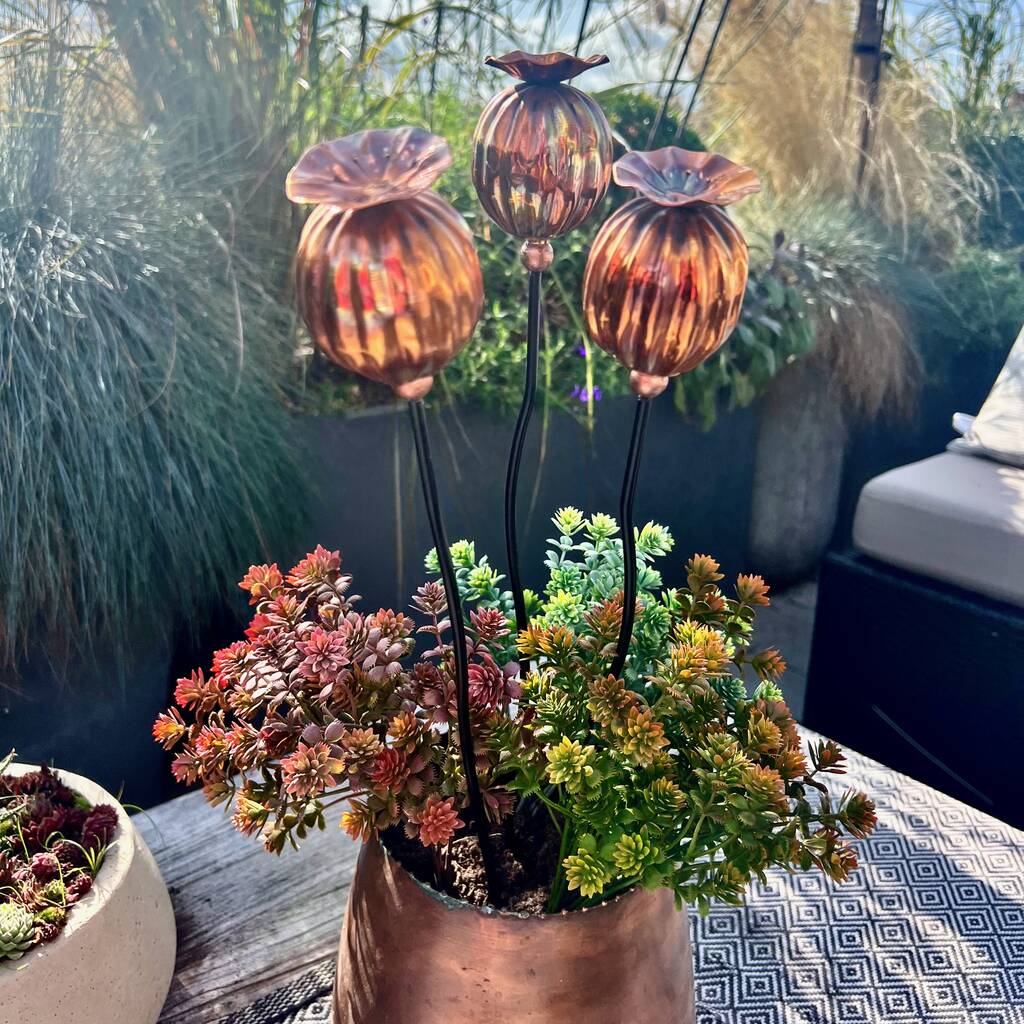 metal poppy seed head garden stakes Three Copper Poppy Seedhead Pot Sculptures – London Garden Trading