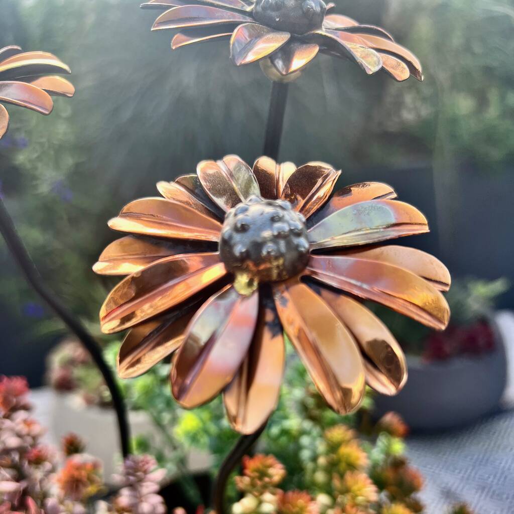 Set Of Three Copper Daisy Garden Planter Stakes