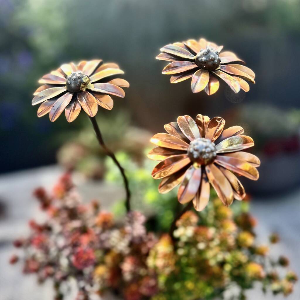 Set Of Three Copper Daisy Garden Planter Stakes