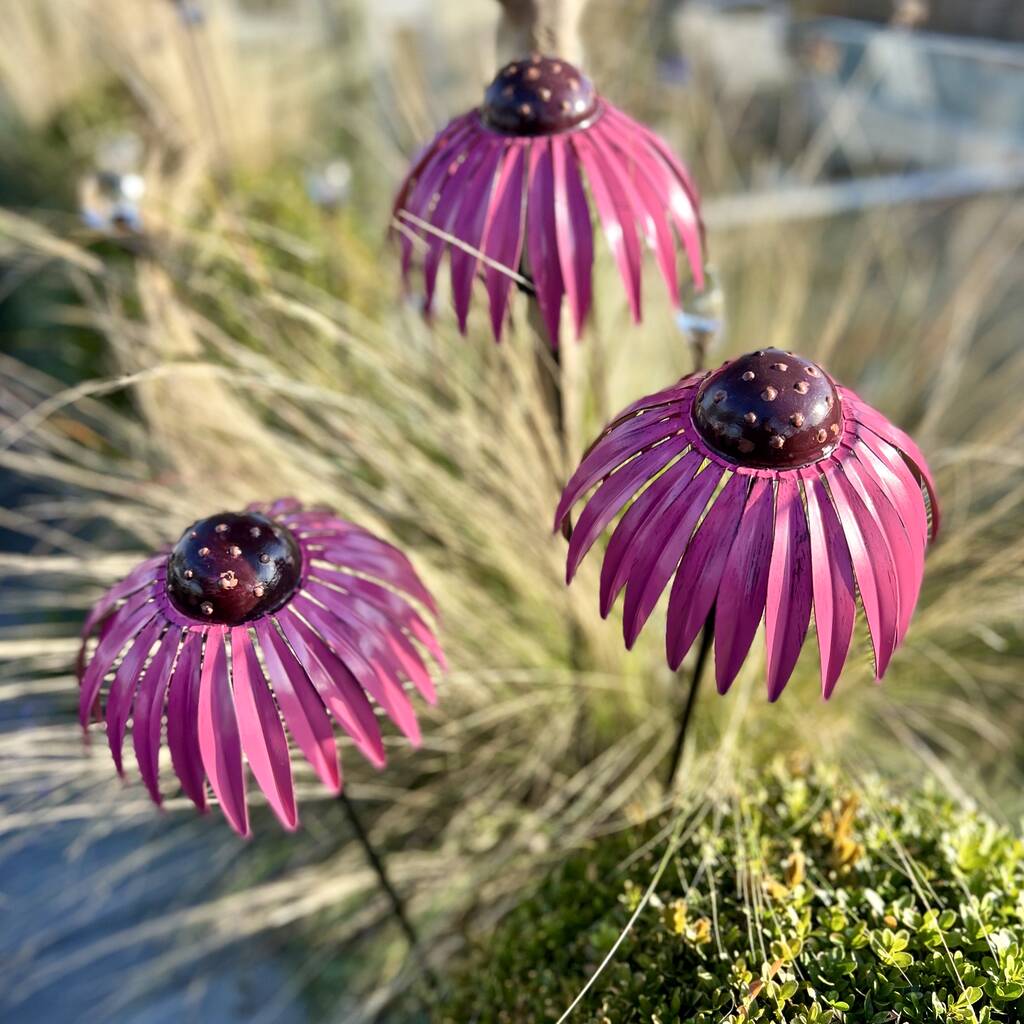Set of 3 Echinacea Garden Sculptures PRE ORDER