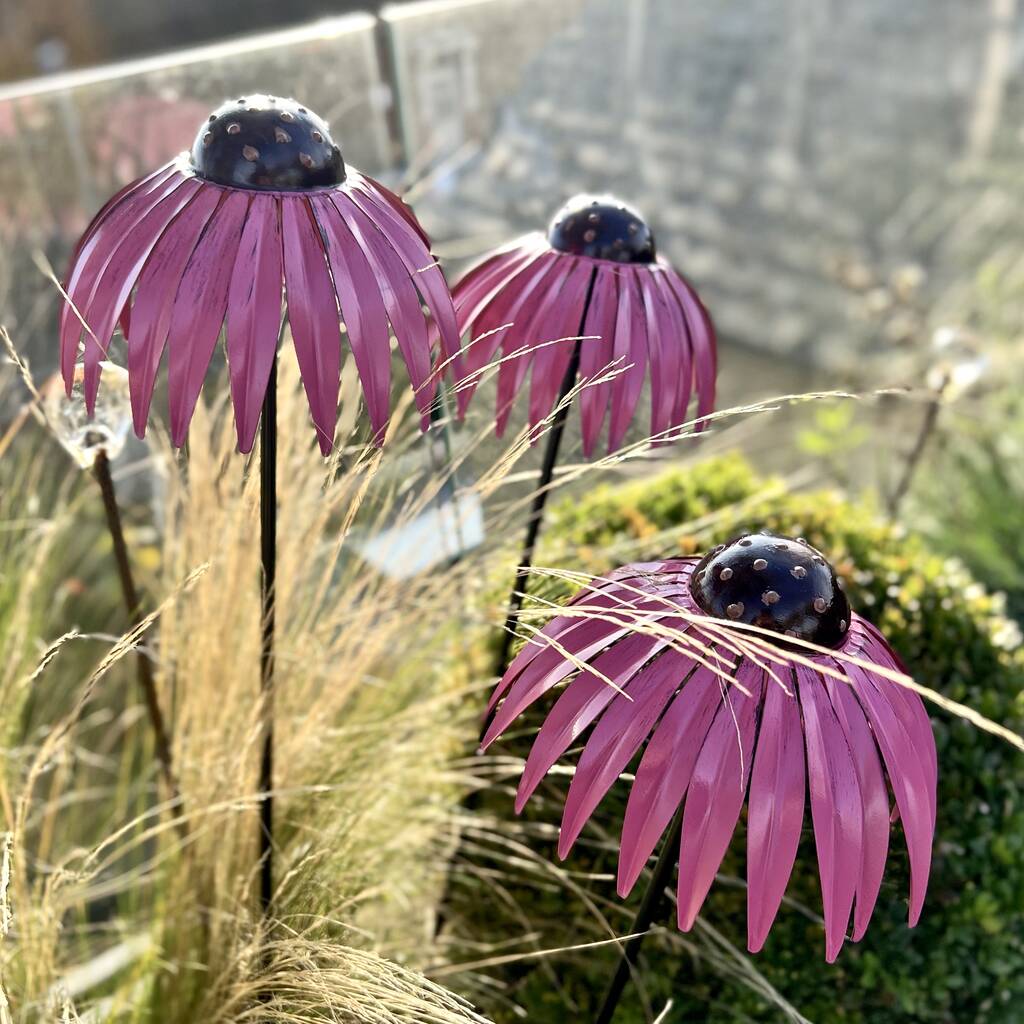 Set of 3 Echinacea Garden Sculptures PRE ORDER