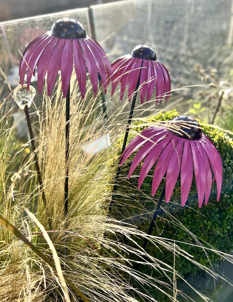 Set of 3 Echinacea Garden Sculptures PRE ORDER