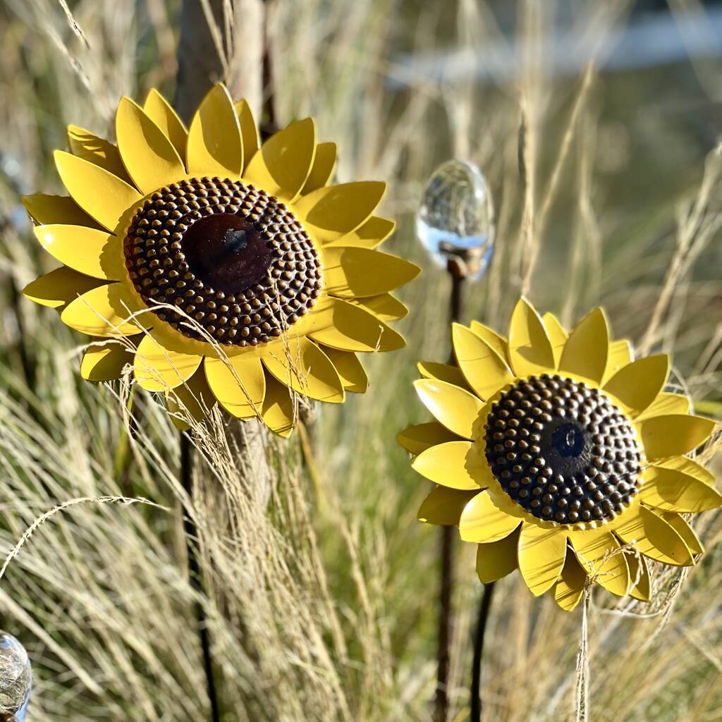 Two Sunflower Garden Sculptures