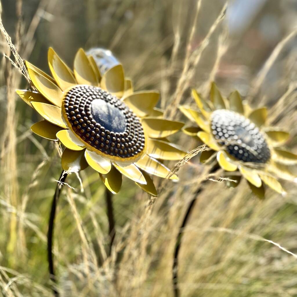 Two Sunflower Garden Sculptures