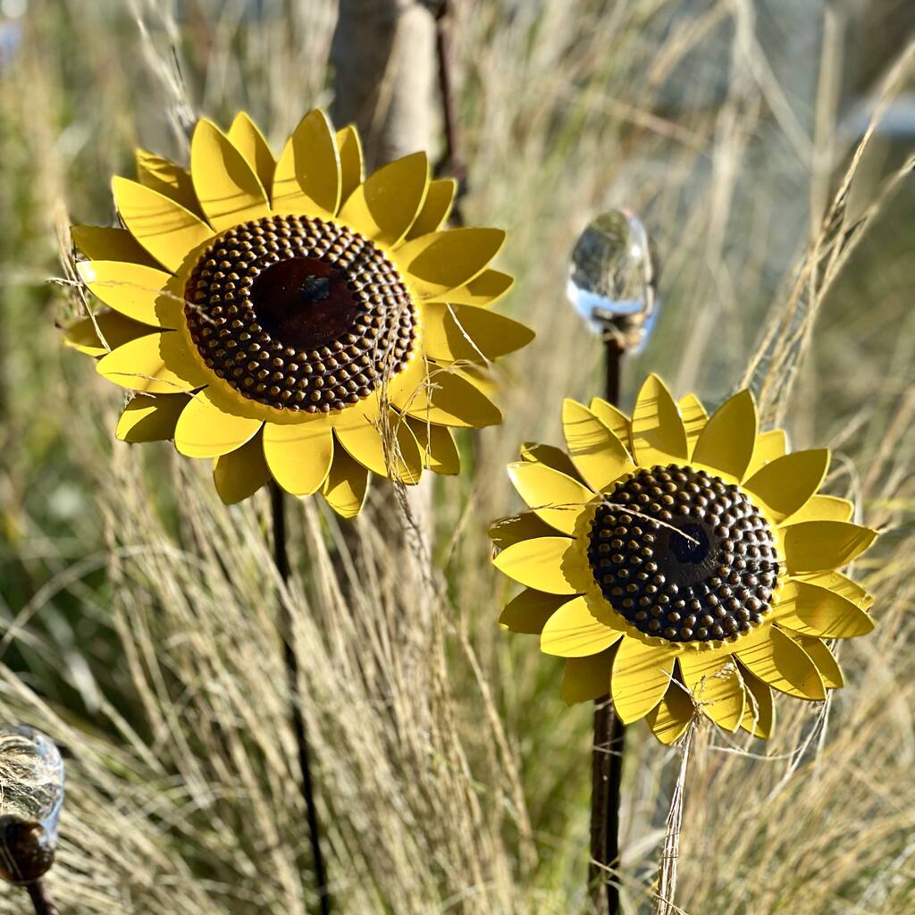 Two Sunflower Garden Sculptures