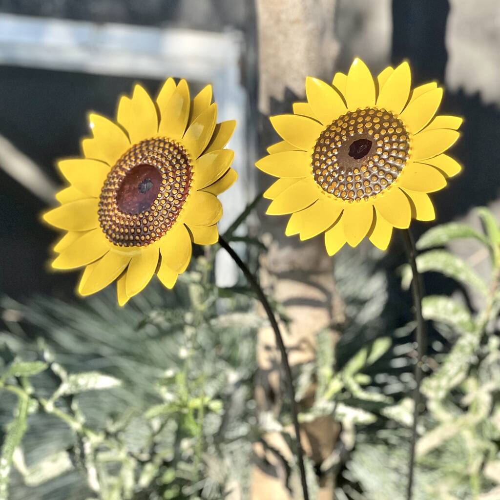 Two Sunflower Garden Sculptures