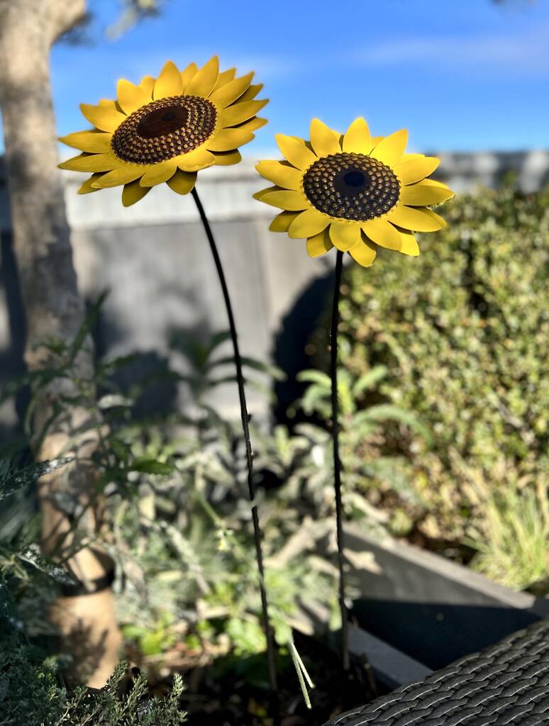 Two Sunflower Garden Sculptures