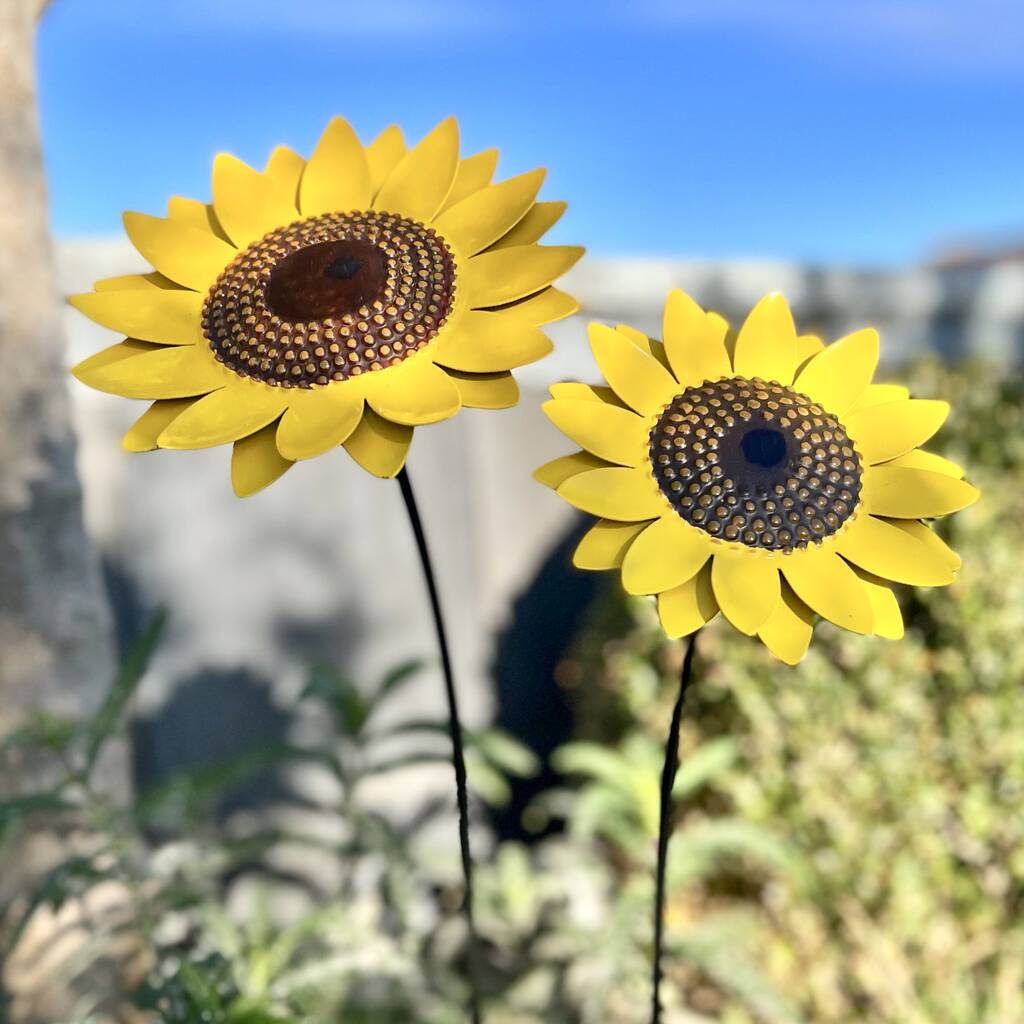 Two Sunflower Garden Sculptures