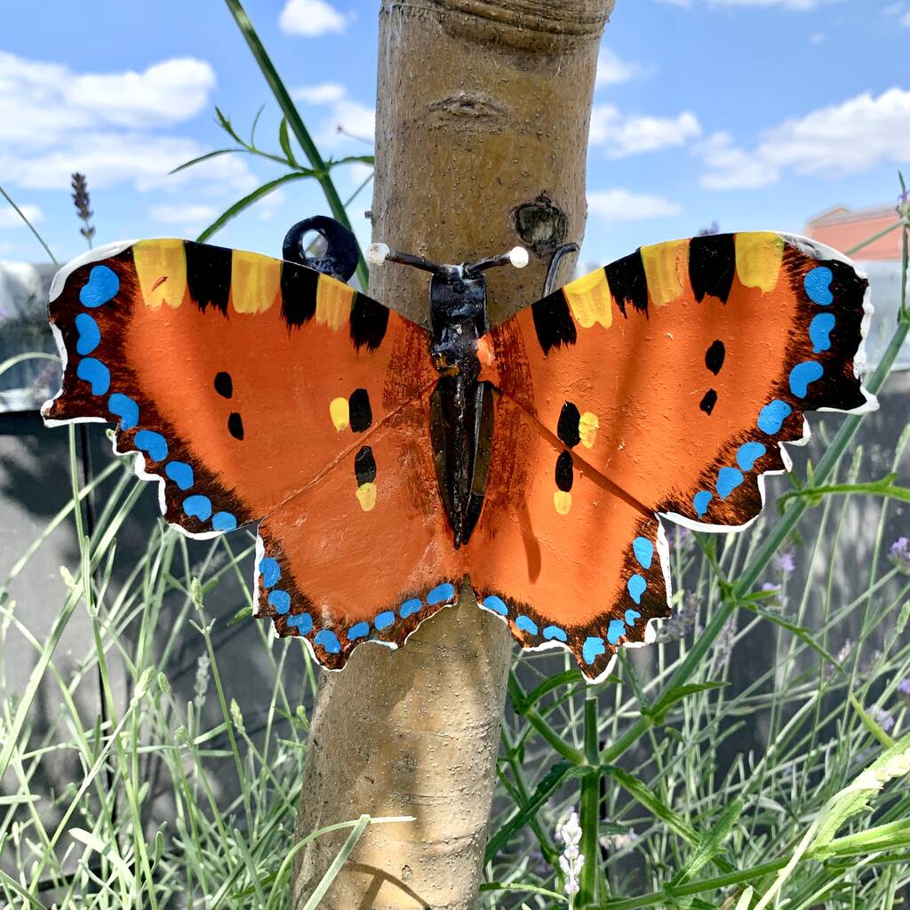 Tortoiseshell Butterfly Wall Decoration