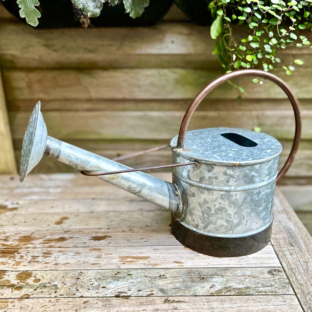 Zinc Watering Can