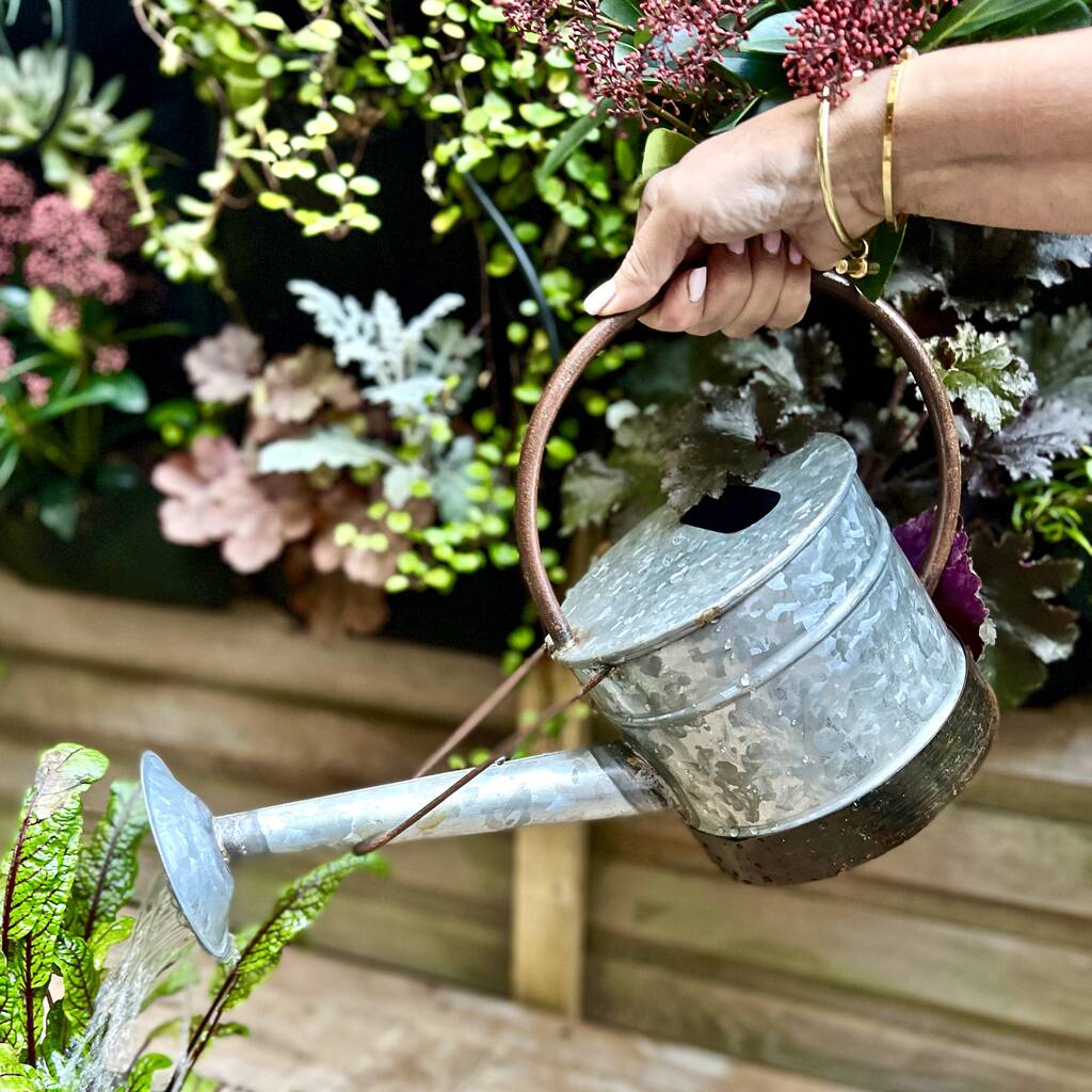 Zinc Watering Can