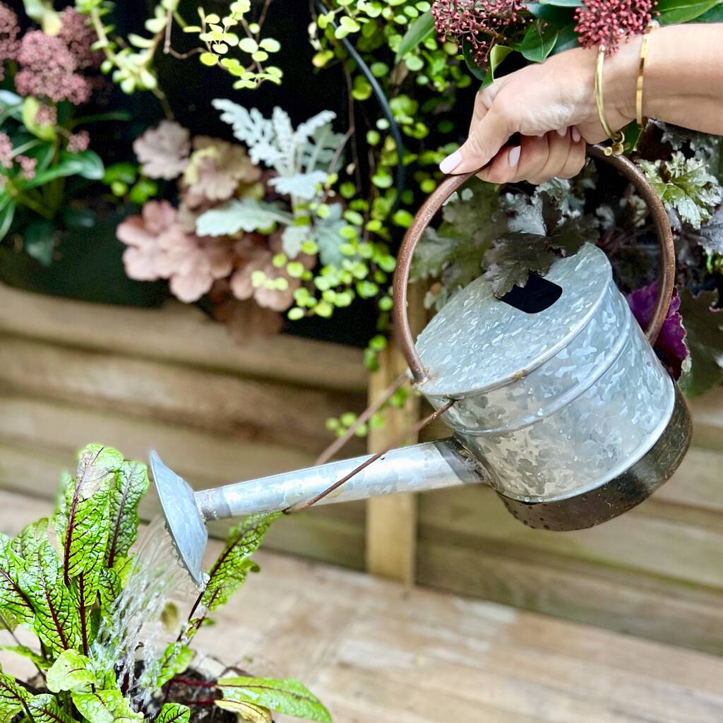 Zinc Watering Can