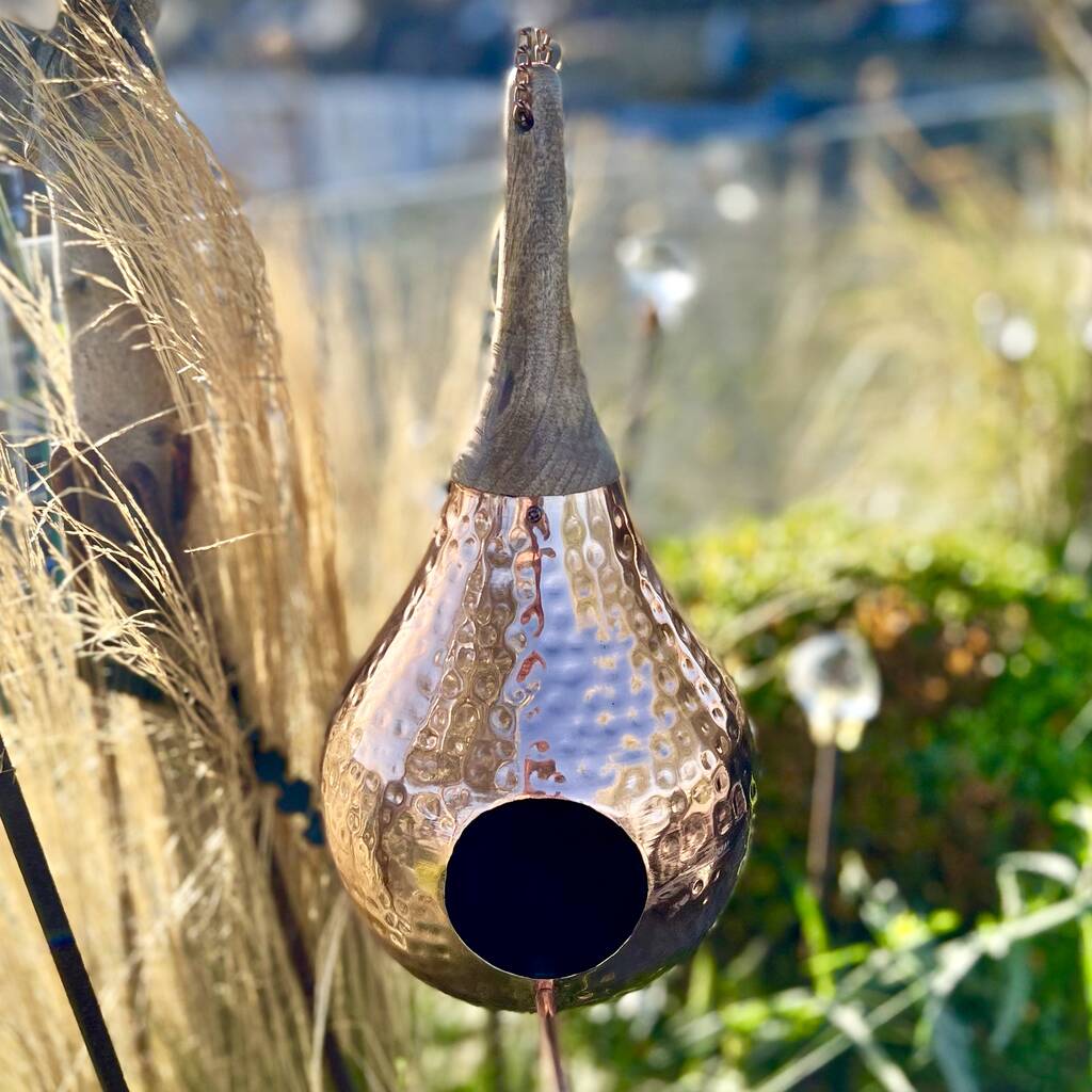 Birds & Wildlife