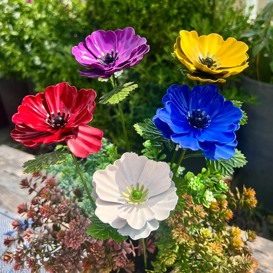 Set of 5 Colourful Anemone Garden Flowers