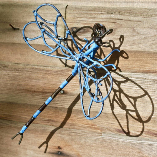 Dragonfly Garden Wall Art