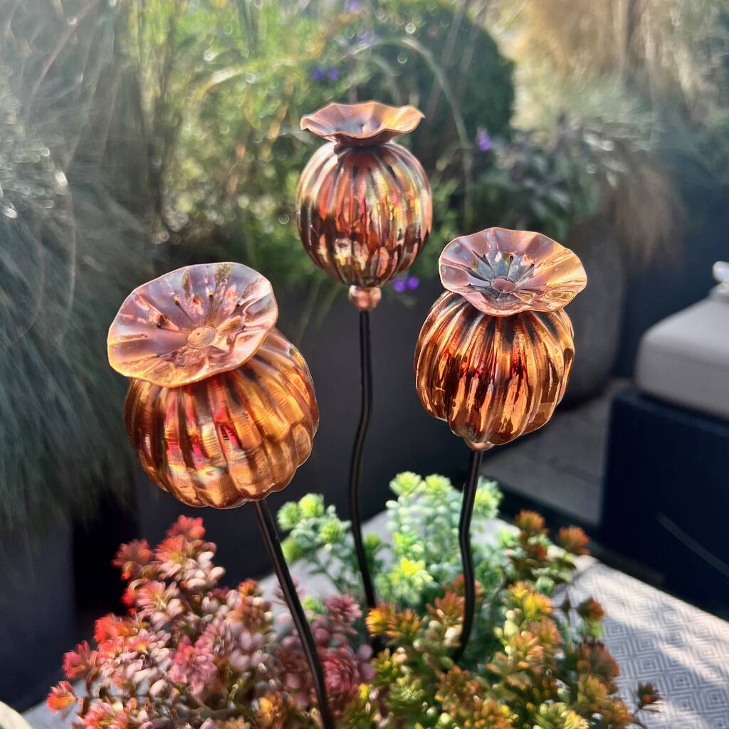 poppy seed head garden stakes Three Copper Poppy Seedhead Pot Sculptures – London Garden Trading