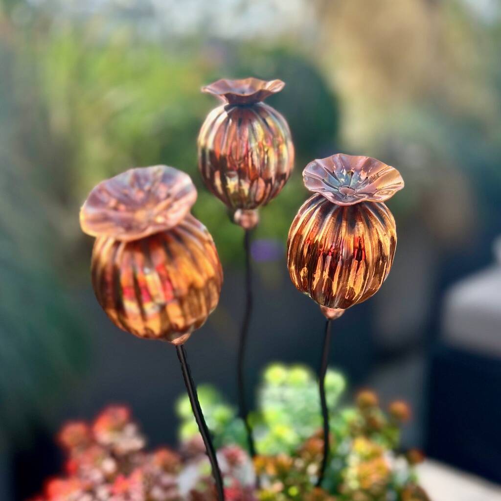 metal poppy seed head garden stakes Three Copper Poppy Seedhead Pot Sculptures – London Garden Trading