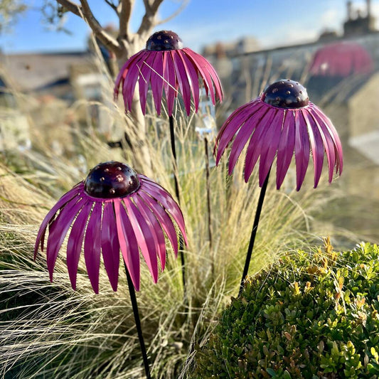 Set of 3 Echinacea Garden Sculptures PRE ORDER
