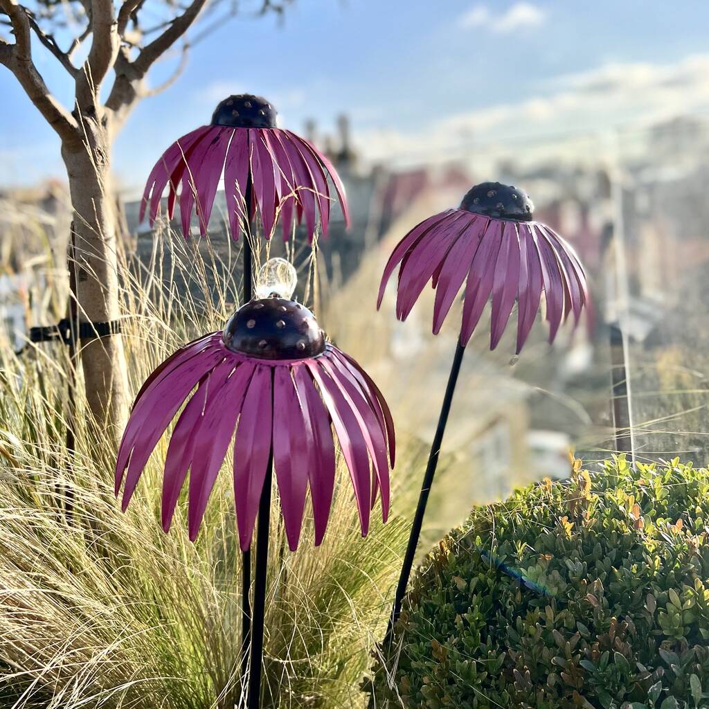 Set of 3 Echinacea Garden Sculptures PRE ORDER